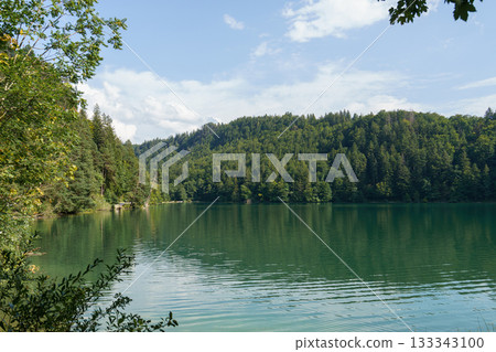 lake in the forest lake in the forest 133343100