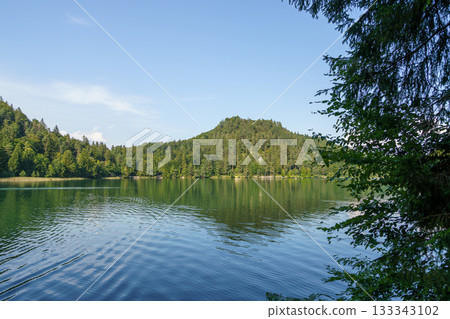 lake in the forest lake in the forest 133343102