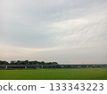 Sky and rice field 133343223