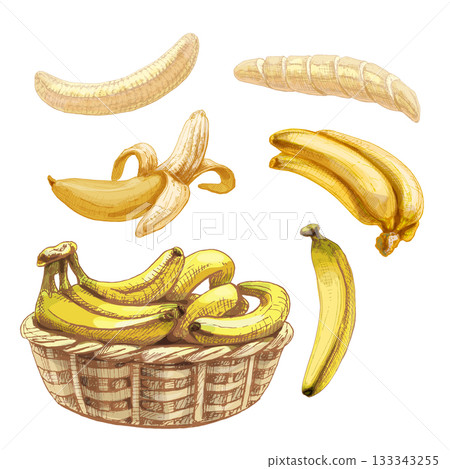 Set with fresh whole and peeled banana. Vintage vector hatching 133343255