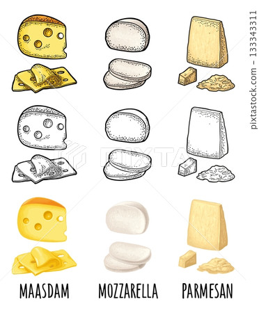 Pieces of cheese maasdam, mozzarella, parmesan. Vector vintage engraving 133343311