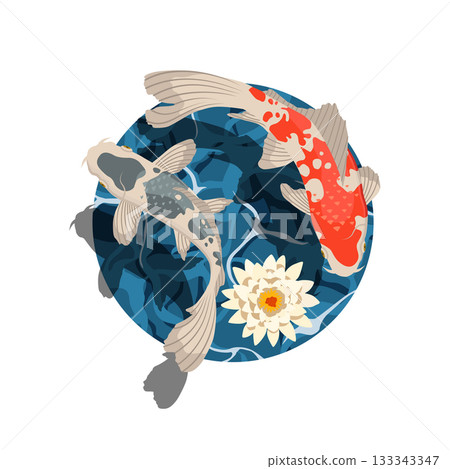 Koi carps with lotus. Color vector flat cartoon illustration. 133343347