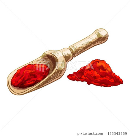 Chilli. Chilli whole, half and slice. Vector vintage hatching Chilli. Chilli whole, half and slice. Vector vintage hatching 133343369