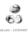 Whole and broken brown quail egg shell. Vector vintage hatching 133343407