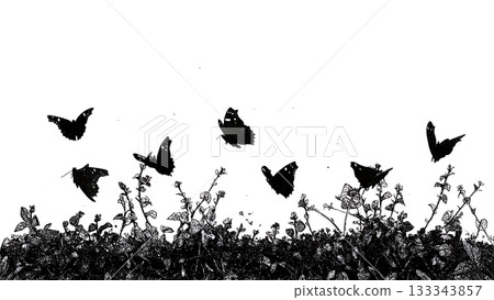 Black Solid Admiral Butterfly Controlled Zigzag Flight Silhouettes Set of Six on White Background 133343857