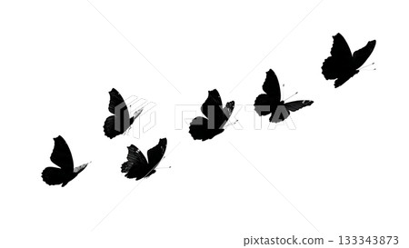 Black Solid Admiral Butterfly Flying Food to Rest Silhouettes Set of Six on White Background Black Solid Admiral Butterfly Flying Food to Rest Silhouettes Set of Six on White Background 133343873
