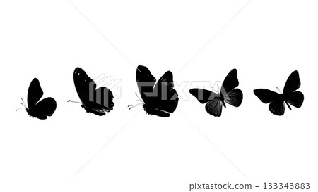 Black Solid Admiral Butterfly Long Smooth Unpowered Glide Silhouettes Set of Six on White Background Black Solid Admiral Butterfly Long Smooth Unpowered Glide Silhouettes Set of Six on White Background 133343883