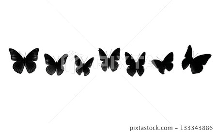 Black Solid Admiral Butterfly Zipping Straight Field Silhouettes Set of Six on White Background 133343886