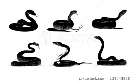 Black Solid Anaconda Heavy Coils Resting Sunny Riverbank Silhouettes Set of Six on White Background Black Solid Anaconda Heavy Coils Resting Sunny Riverbank Silhouettes Set of Six on White Background 133343898