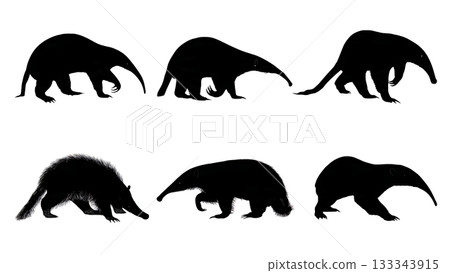Black Solid Anteater Walking Standing Snout Lowered Silhouettes Set of Six on White Background Black Solid Anteater Walking Standing Snout Lowered Silhouettes Set of Six on White Background 133343915