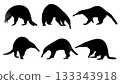 Black Solid Anteater Walking Standing Snout Lowered Silhouettes Set of Six on White Background 133343918