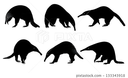 Black Solid Anteater Walking Standing Snout Lowered Silhouettes Set of Six on White Background 133343918