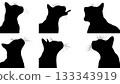 Black Solid Applying Cat Lipstick Owner Silhouettes Set of Six on White Background 133343919