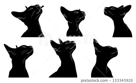 Black Solid Applying Cat Lipstick Owner Silhouettes Set of Six on White Background 133343920