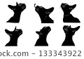 Black Solid Applying Cat Lipstick Owner Silhouettes Set of Six on White Background 133343922