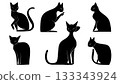 Black Solid Applying Sunscreen Cat Owner Silhouettes Set of Six on White Background 133343924