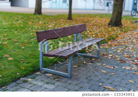 wooden bench in the park 133343951