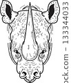 angry wrinkled strong rhinoceros full face black lines on white background 133344033