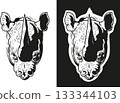 silhouette of the head of a powerful strong wrinkled rhinoceros on white and black background 133344103