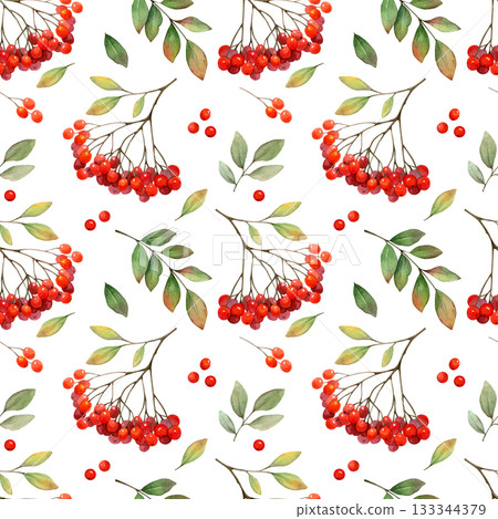 Rowan berry clusters and leaves watercolor seamless pattern on white background. Autumn nature hand drawn clip art. Realistic drawing for natural designs and cards 133344379