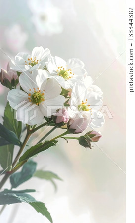 Close up of jasmine flowers Close up of jasmine flowers 133344382
