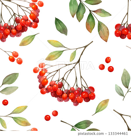 Rowan berry clusters and leaves watercolor seamless pattern on white background. Autumn nature hand drawn clip art. Realistic drawing for natural designs and cards. 133344461