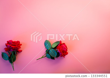 Flower arrangement with two red roses 133344551