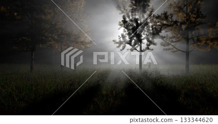 3d rendering. Illustration of autumn forest in sunlight and mist. 133344620