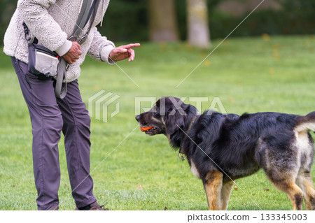 a man with his dog a man with his dog 133345003