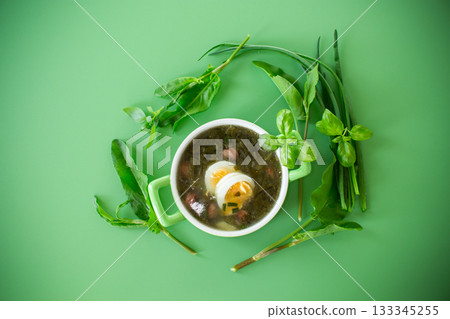 Traditional Ukrainian sorrel borscht with egg on green background Traditional Ukrainian sorrel borscht with egg on green background 133345255
