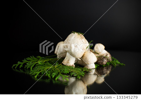 Natural champignon mushrooms on black background 133345279