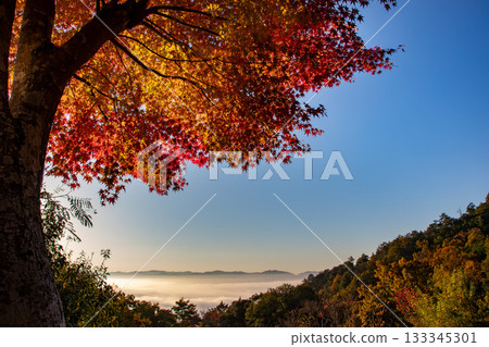 秋葉和雲彩海 133345301