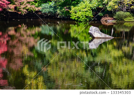 秋葉水彩 秋葉水彩 133345303