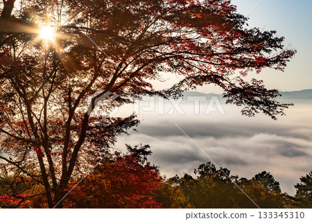 秋葉和雲彩海 133345310