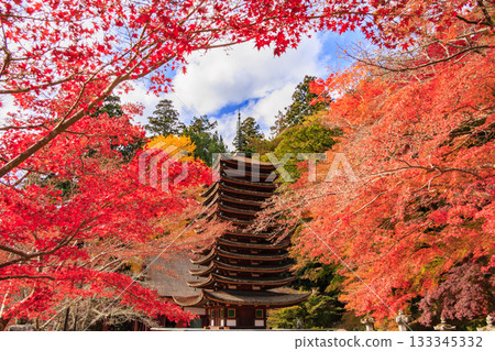 坦贊神社在秋葉盛開之時最為迷人。 坦贊神社在秋葉盛開之時最為迷人。 133345332