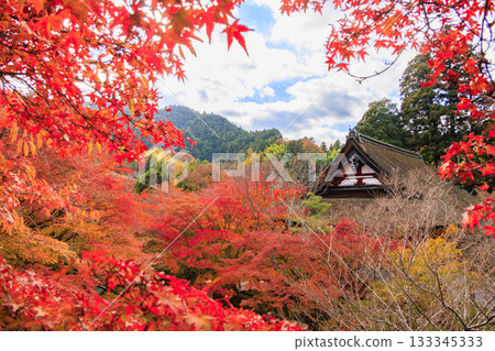 Tanzan Shrine at its best when the autumn leaves are in full bloom 133345333