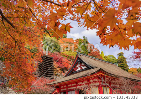 Tanzan Shrine at its best when the autumn leaves are in full bloom Tanzan Shrine at its best when the autumn leaves are in full bloom 133345338