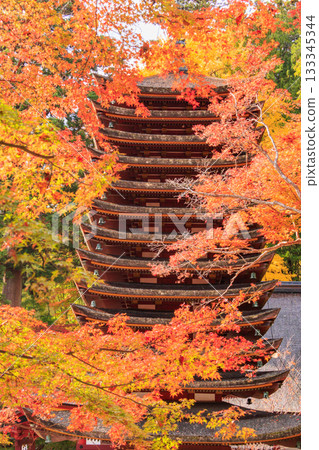 Tanzan Shrine at its best when the autumn leaves are in full bloom Tanzan Shrine at its best when the autumn leaves are in full bloom 133345344