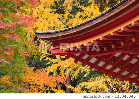 Tanzan Shrine at its best when the autumn leaves are in full bloom Tanzan Shrine at its best when the autumn leaves are in full bloom 133345346