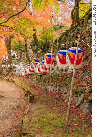 Tanzan Shrine at its best when the autumn leaves are in full bloom 133345351