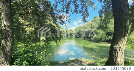 Beautiful landscape, trees and lake, nature background Beautiful landscape, trees and lake, nature background 133345689
