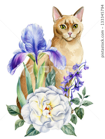 Watercolor ginger cat with purple iris and white flower, floral botanical illustration for prints and decor Watercolor ginger cat with purple iris and white flower, floral botanical illustration for prints and decor 133345794