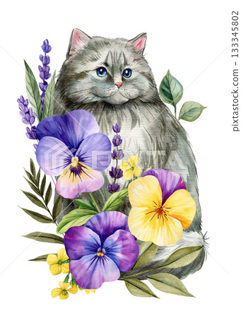 Watercolor fluffy gray cat with colorful pansies lavender and greenery botanical floral illustration Watercolor fluffy gray cat with colorful pansies lavender and greenery botanical floral illustration 133345802