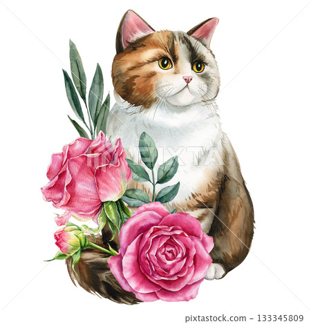 Calico cat with pink roses watercolor floral illustration with botanical leaves 133345809