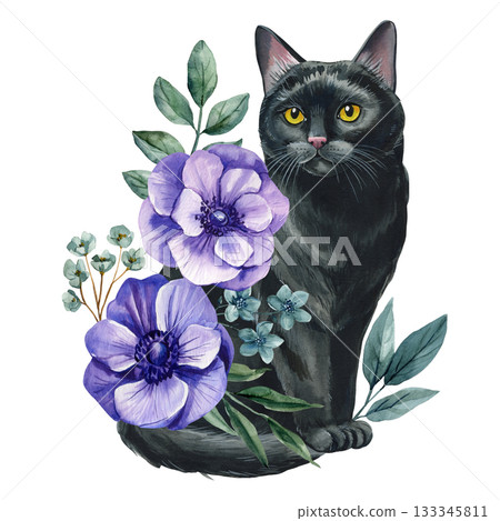 Black cat with purple anemone flowers, watercolor floral feline illustration for elegant decorative design Black cat with purple anemone flowers, watercolor floral feline illustration for elegant decorative design 133345811