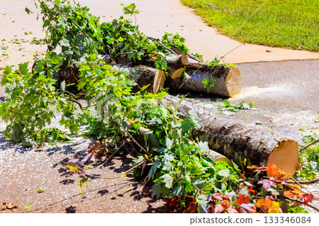 Tree branches cut logs lie on driveway after trimming, with after tornado storm. Tree branches cut logs lie on driveway after trimming, with after tornado storm. 133346084