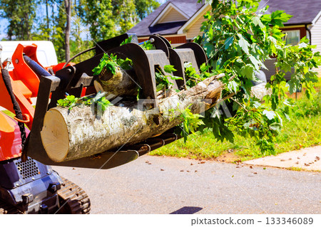 Skid steer machine lifts large tree branch in neighborhood, highlighting landscaping Skid steer machine lifts large tree branch in neighborhood, highlighting landscaping 133346089