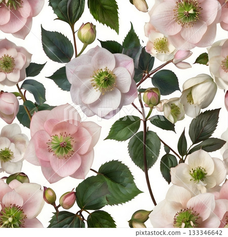 Winter Christmas flowers  133346642