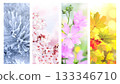 Set of nature banners depicting natural world. Four season of year. Each one features scene of nature, from snow of winter to vibrant leaves of fall. Perfect  for showcasing of changing seasons 133346710