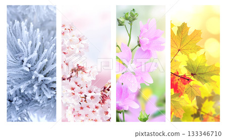 Set of nature banners depicting natural world. Four season of year. Each one features scene of nature, from snow of winter to vibrant leaves of fall. Perfect for showcasing of changing seasons Set of nature banners depicting natural world. Four season of year. Each one features scene of nature, from snow of winter to vibrant leaves of fall. Perfect for showcasing of changing seasons 133346710